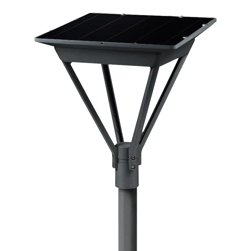 SOLEA-2.webp