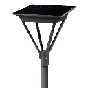 SOLEA-2.webp