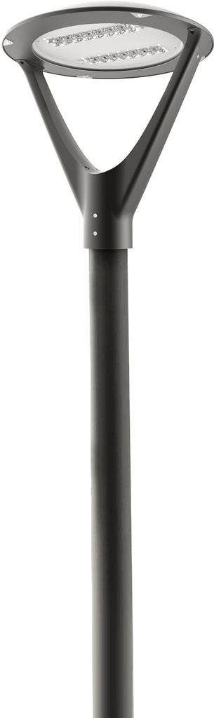 ELIPSIA DC